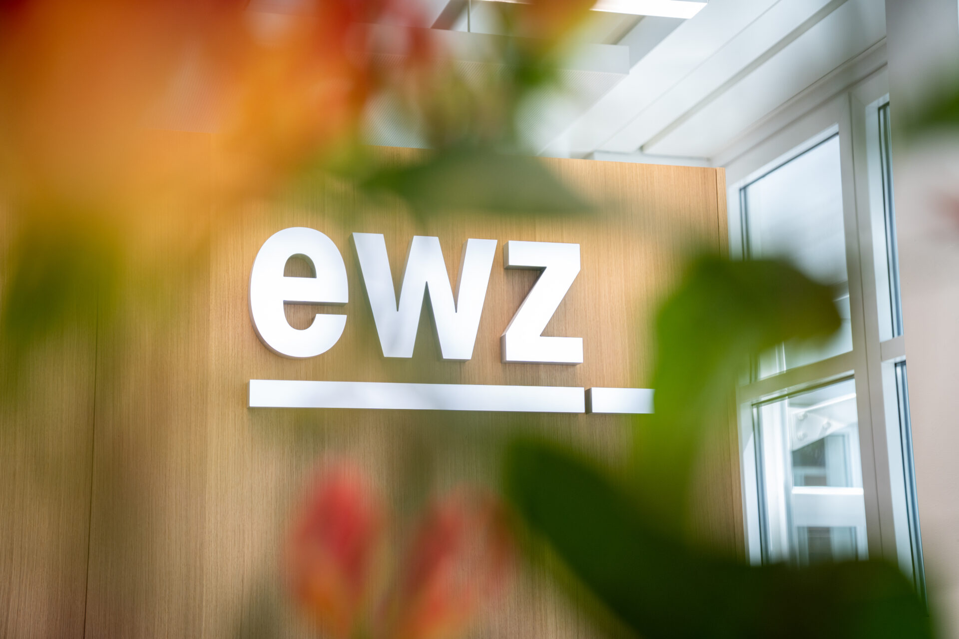 ewz-Logo