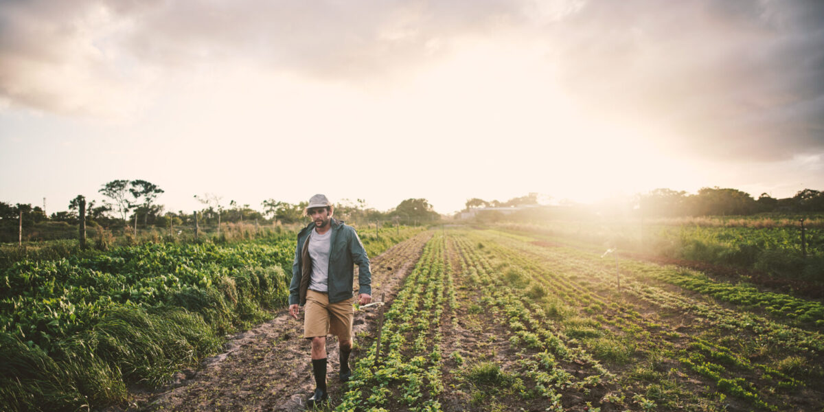 A young man walks across a field and works in nature - agriculture and sustainable fieldwork.